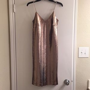 J. Crew Champagne Sequin Dress